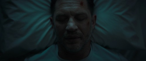 venom.last.dance.1080p.5.jpg