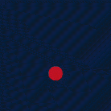 fenerbahce.gif