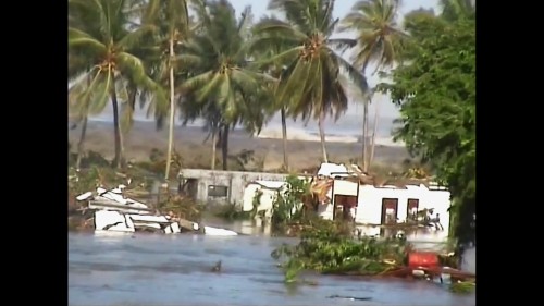 tsunami.3.jpg
