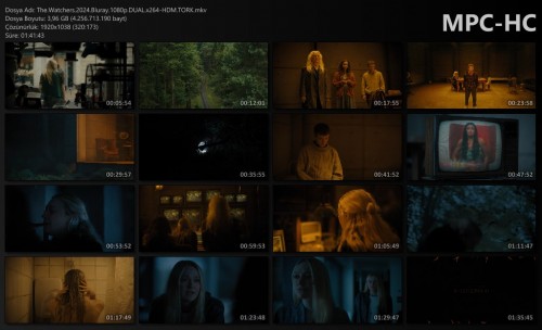 The.Watchers.2024.Bluray.1080p.DUAL.x264-HDM.TORK.mkv_thumbs.jpg