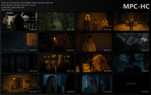 The.Watchers.2024.WEBRip.1080p.x264.AAC.TORK.mkv_thumbs.jpg