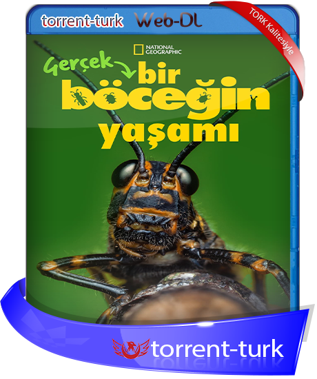 bir.bocegin.yasami.TORK.png