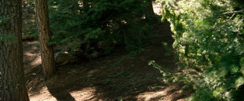 lone.survivor.1080p.3.jpg