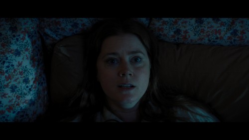 nightbitch.2.jpg