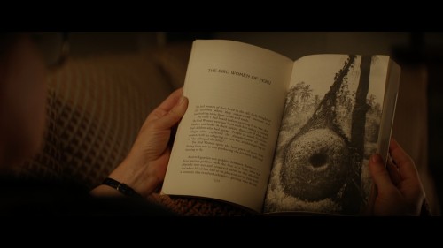 nightbitch.4.jpg