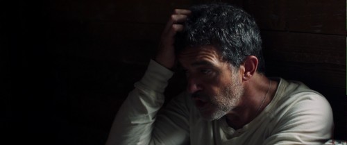 black.butterfly.720p.5.jpg