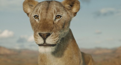 Mufasa.1080p.1.jpg