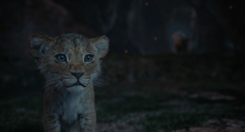 Mufasa.1080p.3.jpg
