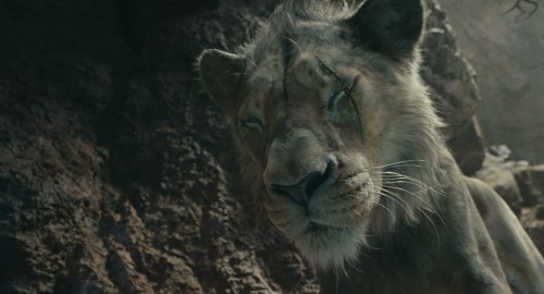 Mufasa.1080p.4.jpg
