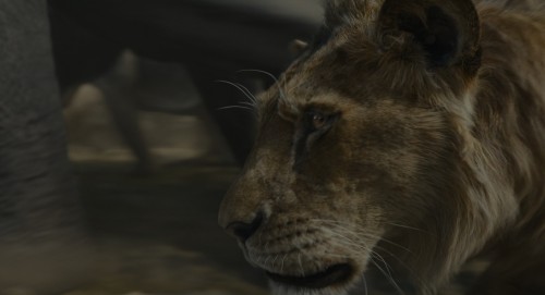Mufasa.4k.3.jpg
