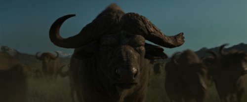 Kraven.4k.2.jpg