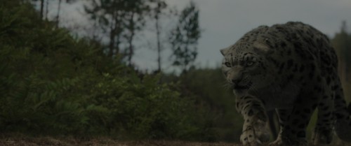 Kraven.4k.4.jpg