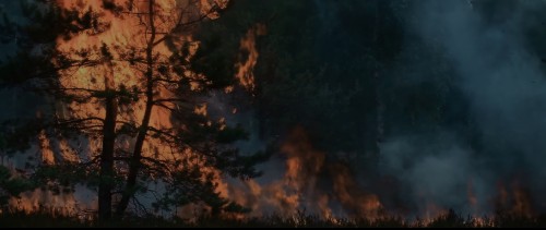 Kraven.4k.5.jpg