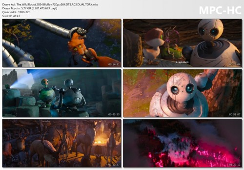 The.Wild.Robot.2024.BluRay.720p.x264.DTS.AC3.DUAL.TORK.mkv_thumbs.jpg