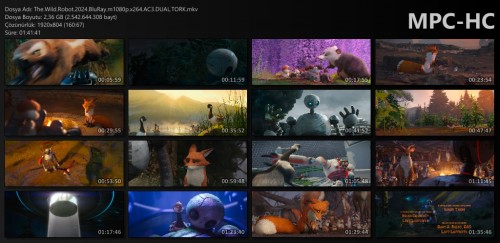 The.Wild.Robot.2024.BluRay.m1080p.x264.AC3.DUAL.TORK.mkv_thumbs.jpg