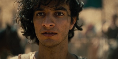 House.Of.David.1.jpg