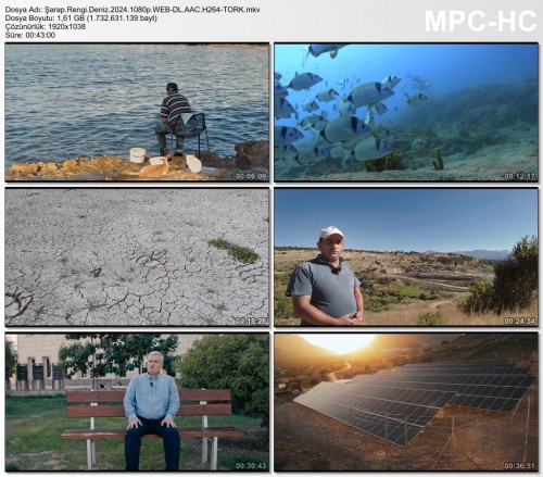 Sarap.Rengi.Deniz.2024.1080p.WEB-DL.AAC.H264-TORK.mkv_thumbs_2025.03.25_14.21.06.jpg
