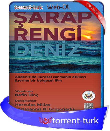 sarapdeniz.tork.png