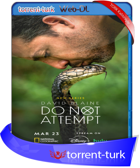 david.tork.png