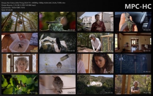 Every.Little.Thing.2024.TV.WEBRip.1080p.H264.AAC.DUAL.TORK.mkv_thumbs.jpg