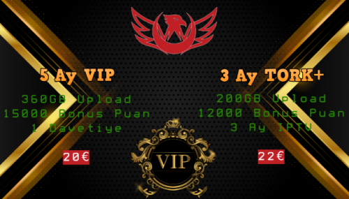 north.vip.png