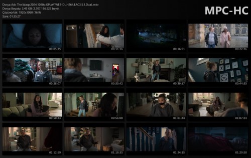 The.Wasp.2024.1080p.GPLAY.WEB-DL.H264.EAC3.5.1.DuaL.mkv_thumbs.jpg