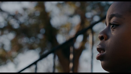 Rob.Peace.2024.TOD.WEBRip.1080p.x264.AAC.DUAL.TORK.mkv_snapshot_00.56.40.153.jpg