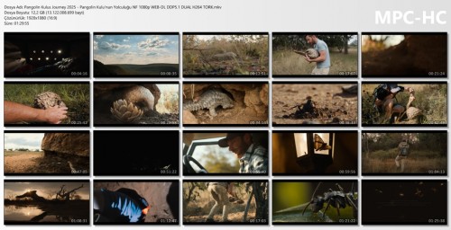 Pangolin-Kulus-Journey-2025.thumbs.jpg