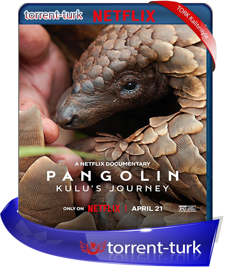 pangolin.png