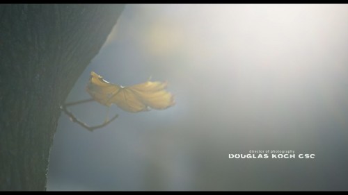 Humane.2024.TOD.WEBRip.1080p.x264.AAC.DUAL.TORK.mkv_snapshot_00.03.12.781.jpg