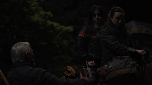 The.Last.of.Us.S02E03.Bolum03.1080p.MAX.WEB-DL.DDP5.1.DUAL.x264.TORK.mkv_snapshot_39.25.021.jpg