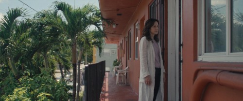Omni.Loop.1080p.5.jpg