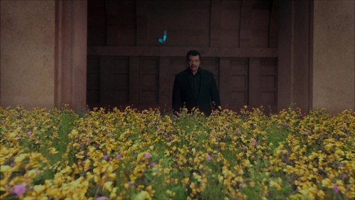 Cosmos.Possible.Worlds.5.jpg