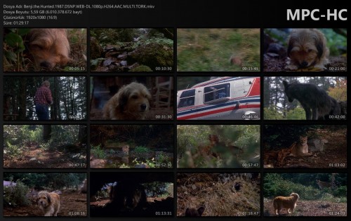 Benji.the.Hunted.1987.DSNP.WEB-DL.1080p.H264.AAC.MULTI.TORK.mkv_thumbs.jpg