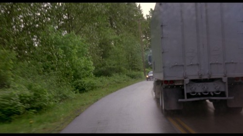 Homeward.Bound.II.Lost.in.San.Francisco.1996.DSNP.WEB-DL.1080p.H264.AAC.MULTI.TORK-.mkv_snapshot_01.15.08.733.jpg
