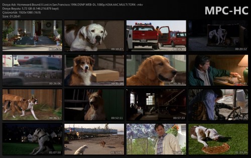 Homeward.Bound.II.Lost.in.San.Francisco.1996.DSNP.WEB-DL.1080p.H264.AAC.MULTI.TORK-.mkv_thumbs.jpg
