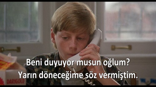 Homeward.Bound.The.Incredible.Journey.1993.DSNP.WEB-DL.1080p.H264.AAC.MULTI.TORK.mkv_snapshot_00.18.29.455.jpg