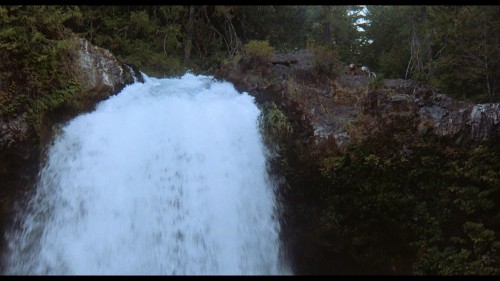 Homeward.Bound.The.Incredible.Journey.1993.DSNP.WEB-DL.1080p.H264.AAC.MULTI.TORK.mkv_snapshot_00.35.56.841.jpg