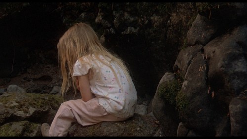 Homeward.Bound.The.Incredible.Journey.1993.DSNP.WEB-DL.1080p.H264.AAC.MULTI.TORK.mkv_snapshot_00.55.46.713.jpg