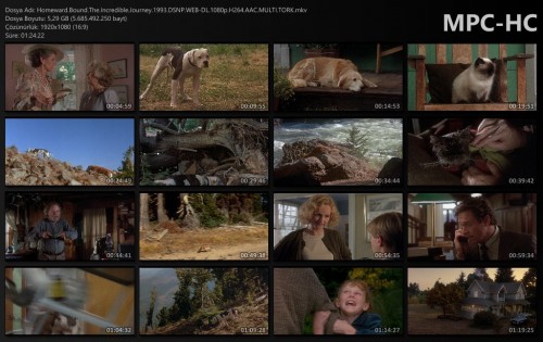 Homeward.Bound.The.Incredible.Journey.1993.DSNP.WEB-DL.1080p.H264.AAC.MULTI.TORK.mkv_thumbs.jpg