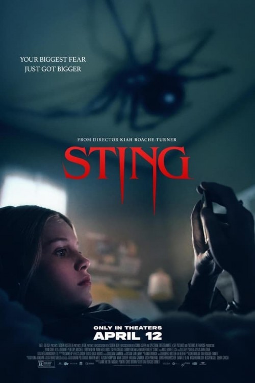 Sting_film_afisi.jpg