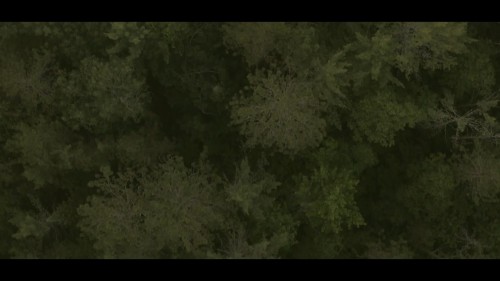 North.of.Normal.2022.WEBRip.1080p.x264.AAC.DUAL.TORK.mkv_snapshot_00.03.21.082.jpg