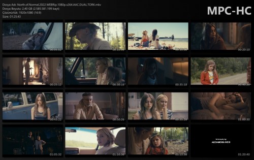 North.of.Normal.2022.WEBRip.1080p.x264.AAC.DUAL.TORK.mkv_thumbs.jpg