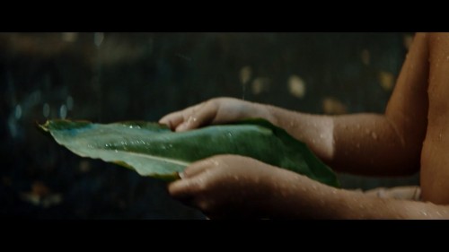 The.Accidental.Getaway.Driver.2023.WEBRip.1080p.x264.AAC.DUAL.TORK.mkv_snapshot_00.01.54.152.jpg