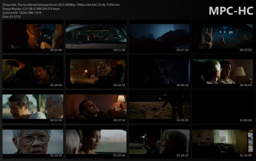 The.Accidental.Getaway.Driver.2023.WEBRip.1080p.x264.AAC.DUAL.TORK.mkv_thumbs.jpg