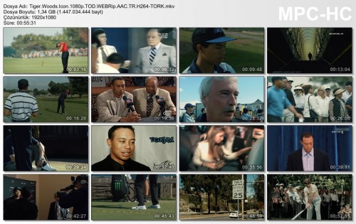 Tiger.Woods.Icon.1080p.jpg