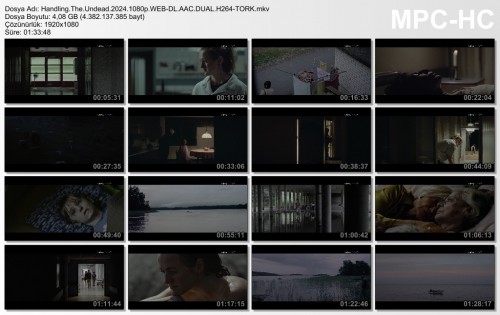 Handling.The.Undead.2024.1080p.WEB-DL.AAC.DUAL.H264-TORK.mkv.jpg