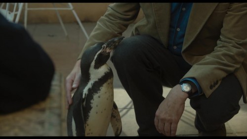 Penguen.Dersleri.5.jpg