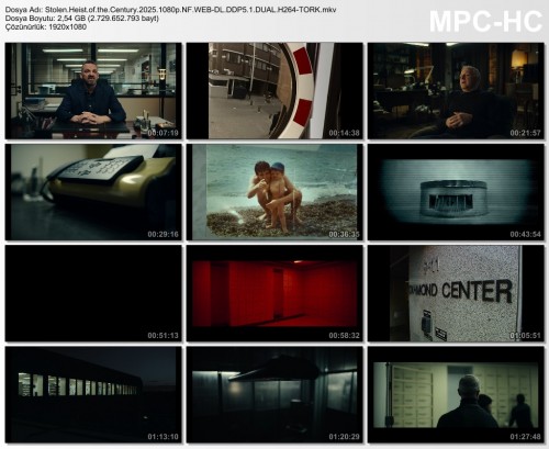 Stolen.Heist.of.the.Century.2025.1080p.NF.WEB-DL.DDP5.1.DUAL.H264-TORK.mkv.jpg