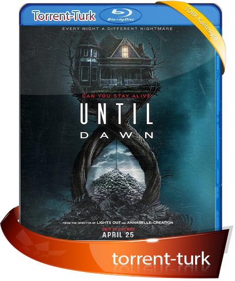 Until.Down.2025-TORK.png